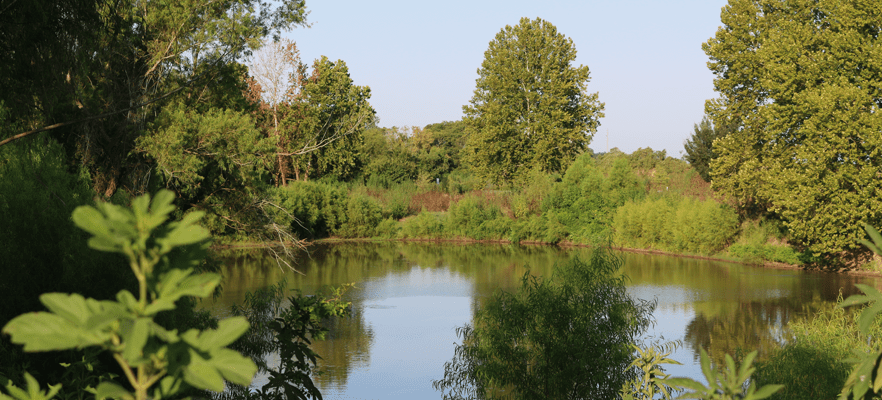 Plum Park on the Colorado