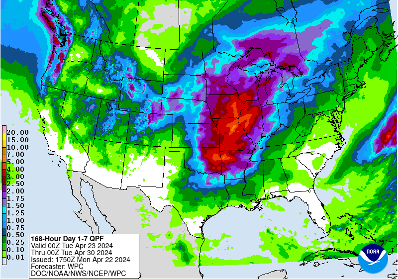 rain4cast0422