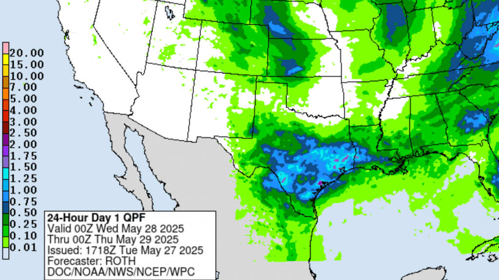 rain4cast0527