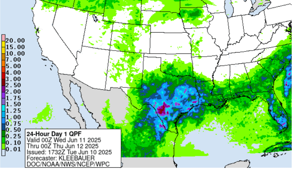 rain0610