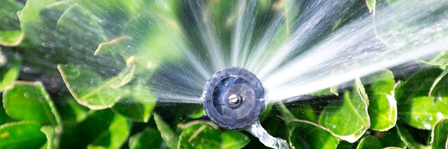0624_residential_rebates_irrigation_eval