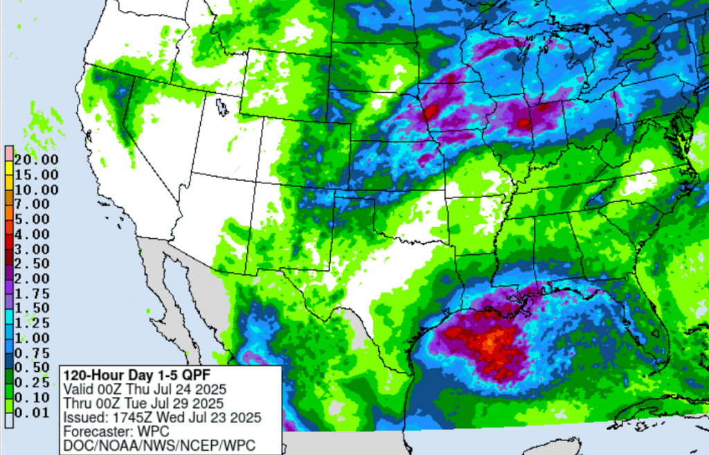 rain4cast0723