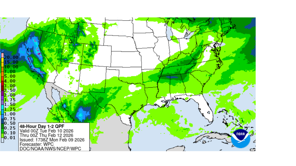rain4cast0209