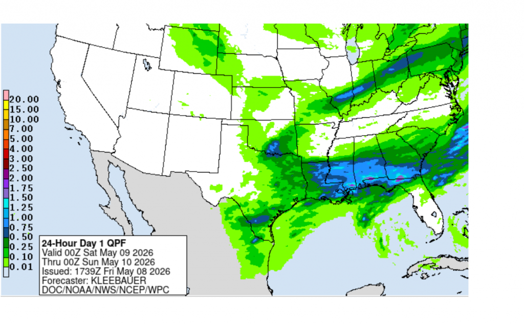 rain4cast0508