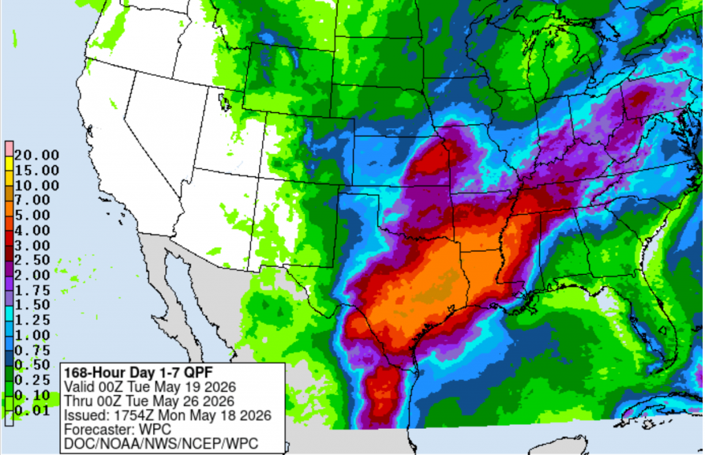 rain4cast0518