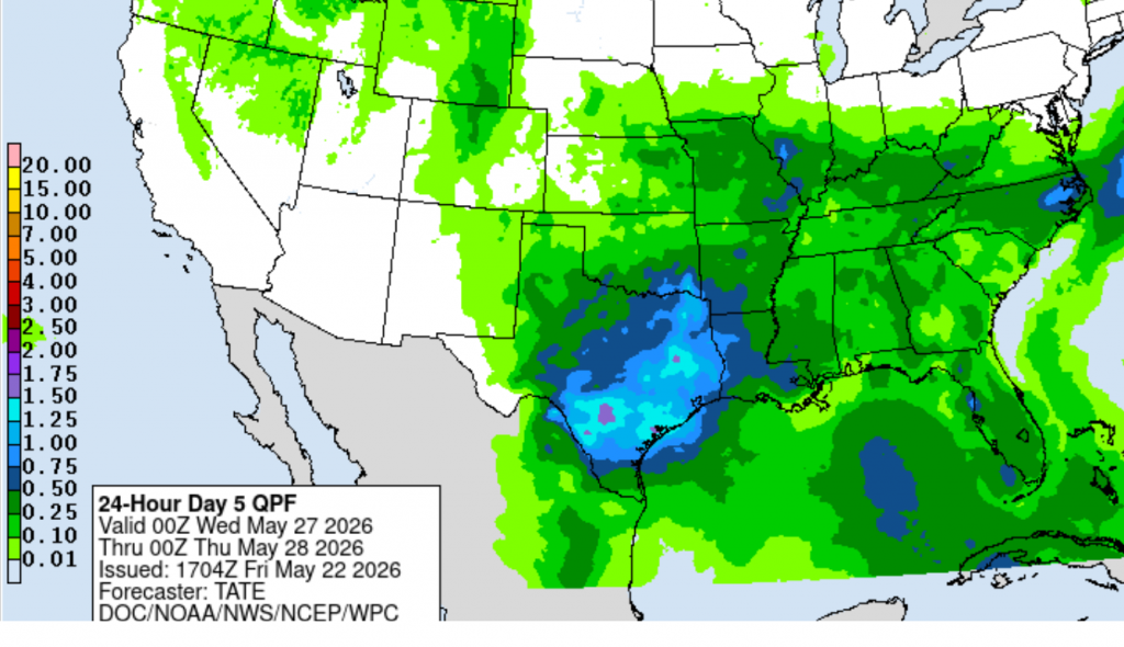 rain4cast0522d