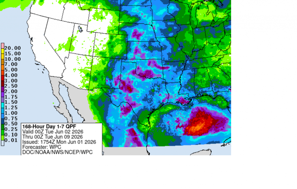 rain4cast0601